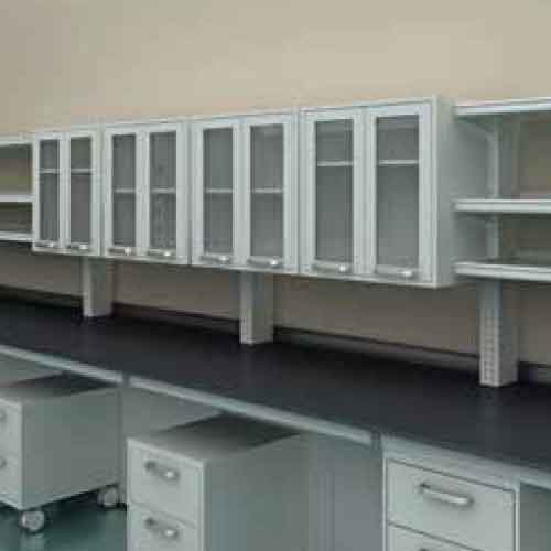 Laboratory Covalent Fusion Modular Lab Furniture with Multi Color Options and Fume Hood Supply